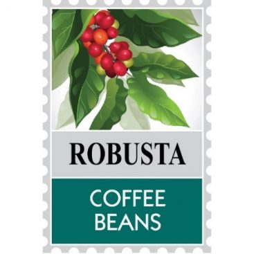 Robusta Coffee Bean & Ground Coffee (500g) - Mister Coffee
