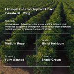 Ethiopia Sidamo Top Gr.1 Chire (Washed)-250g