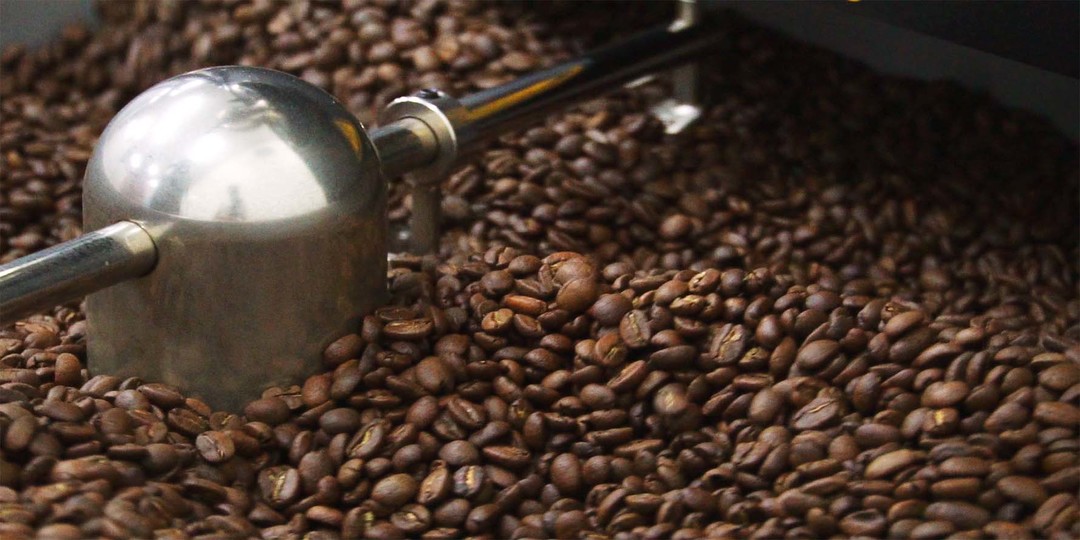 How to Define Freshly Roasted Coffee Bean Mister Coffee