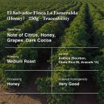 El Savador Finca La Esmeralda (Honey)-250g-Traceability