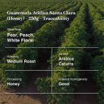 Guatemala Atitlan Santa Clara (Honey)-250g-Traceability