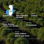 Guatemala Finca La Robles (natural)-43