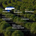 Honduras Finca El Roble (Natural)-250g-Traceability (2)-13