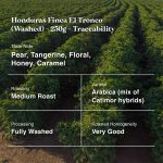 Honduras Finca El Tronco (Washed)-250g-Traceability