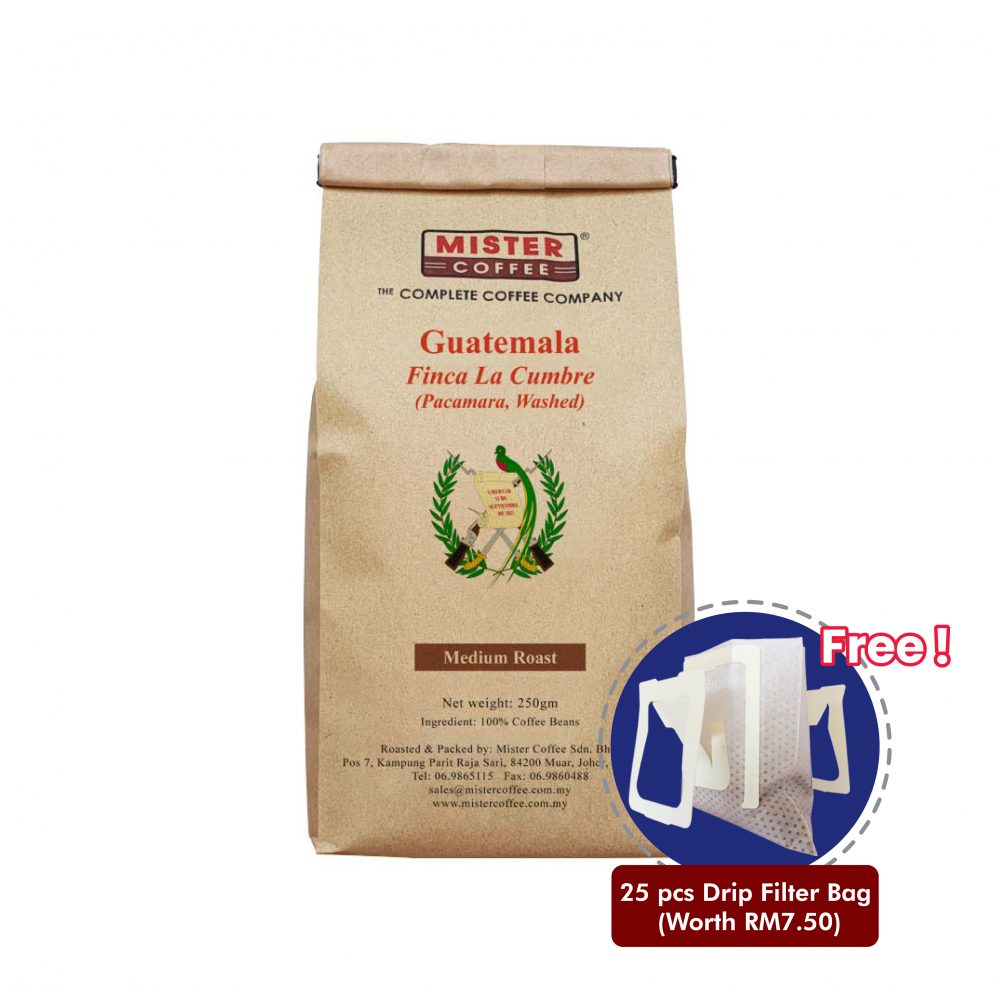 guatemala finca la cumbre pacamara washed FDB-01