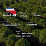 Costa Rica Tarrazu Finca Tirra (Washed)-250g-Traceability (2)-02-09