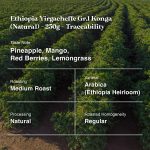 Ethiopia Yirgacheffe Gr.1 Konga (Natural)-250g-Traceability (4)