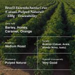 Brazil Fazenda Santa Cruz (Catuai, Pulped Natural)-250g-Traceability