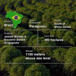 Brazil Fazenda Santa Cruz (Catuai, Pulped Natural)-250g-Traceability (2)-35