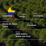 Colombia Finca La Illusion (Washed _ Long Fermentation-250g-Traceability (2)-31