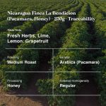 Nicaragua Finca La Bendicion (Pacamara, Honey)-250g-Traceability