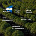 Nicaragua Finca La Bendicion (Pacamara, Honey)-250g-Traceability (2)-02