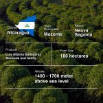 Nicaragua Finca Un Regalo De Dios (Catimor, Natural)-250g-Traceability (2)-09